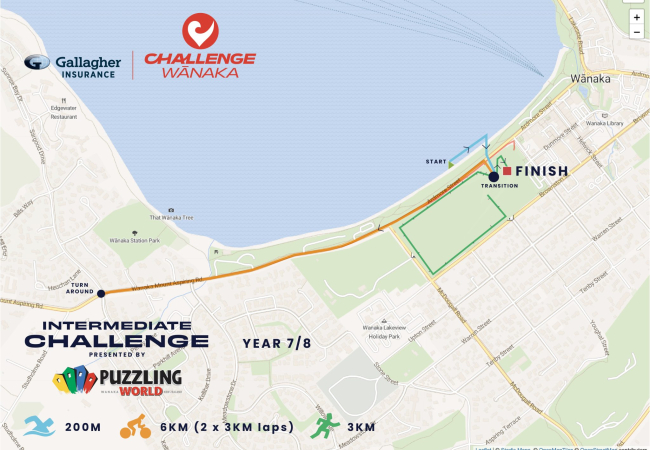 Intermediate Challenge